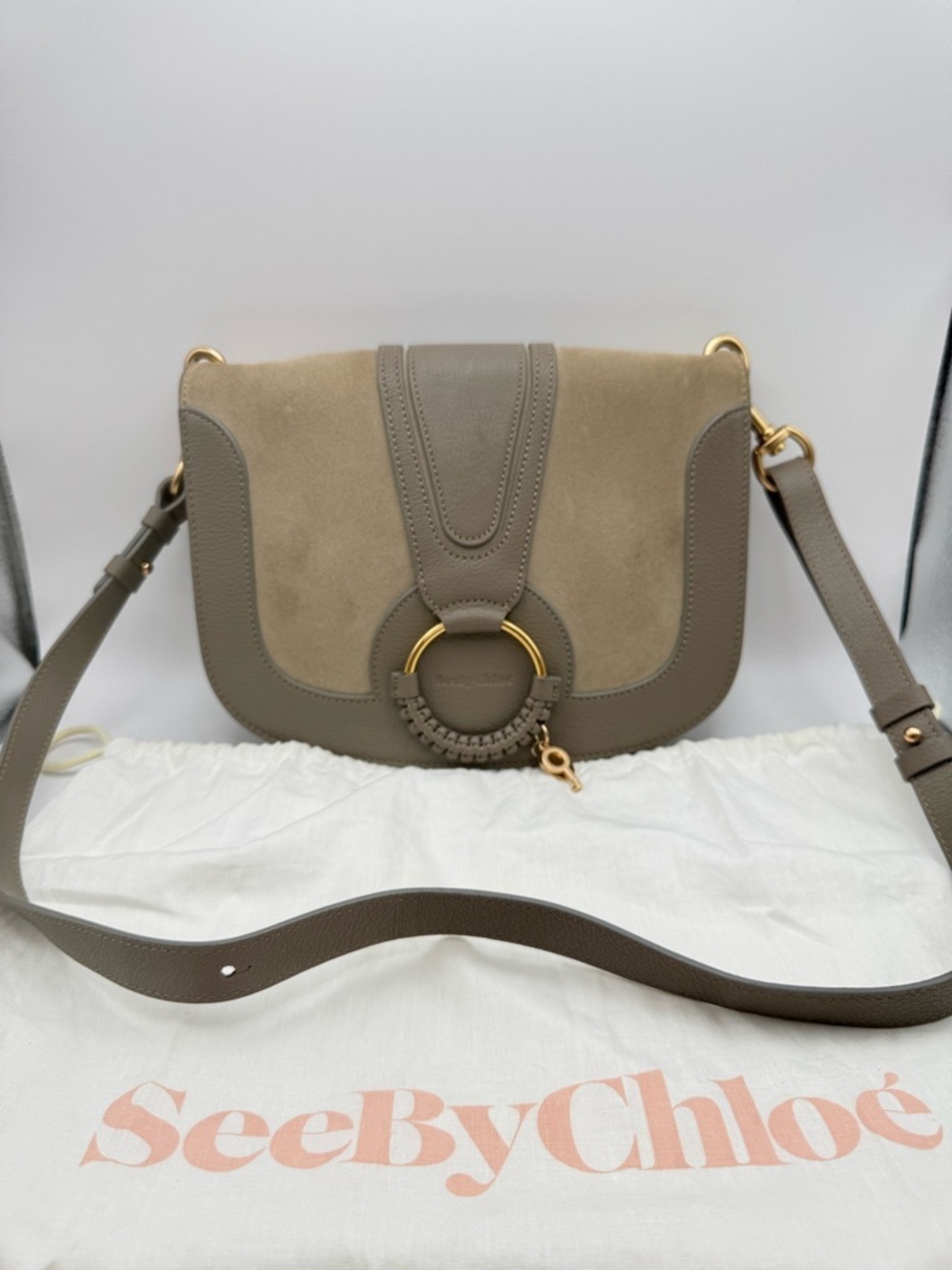 See By Chloé Hana Large Leather Suede Crossbody Bag Motty Grey Gold Hardware